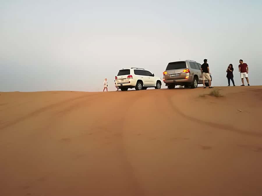 Morning Desert Safari in Ras Al Khaimah - What happens at the date farm
