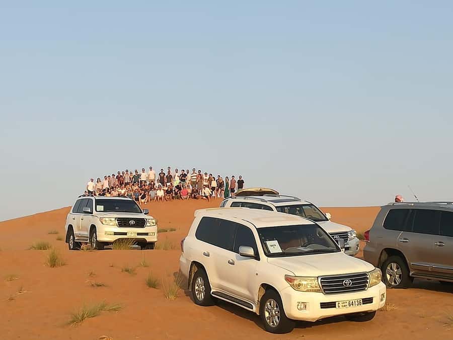 Morning Desert Safari in Ras Al Khaimah - Meeting the camels at the farm