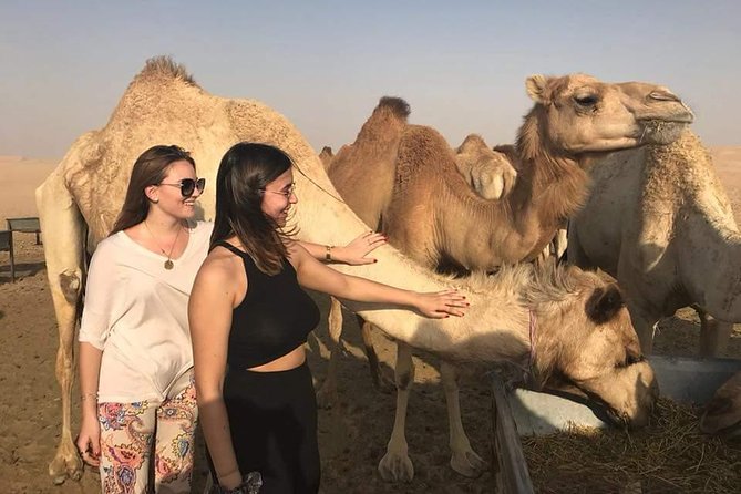 Morning Desert Safari with Camel Ride & Sand Skiing Private Tours - Key points to know before booking