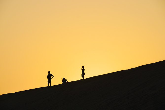 Morning Desert Safari with Camel Ride & Sand Skiing Private Tours - Camel farm visit and camel ride