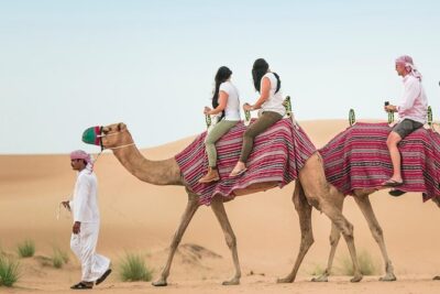 Morning Desert Safari with Dune Bashing and Sand Boarding