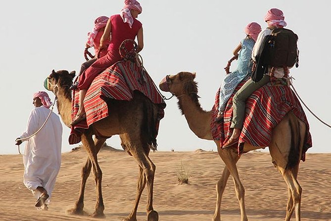 Morning Desert Safari with Quad Bike, Camel Ride & Sandboarding - What the Land Cruiser ride adds
