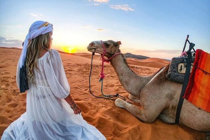 Morning Desert Safari with Quad Bike, Camel Ride & Sandboarding - A 20-minute camel ride