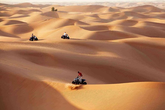 Morning Desert Safari with Quad Bike Tour Abu Dhabi - How the price compares with the experience