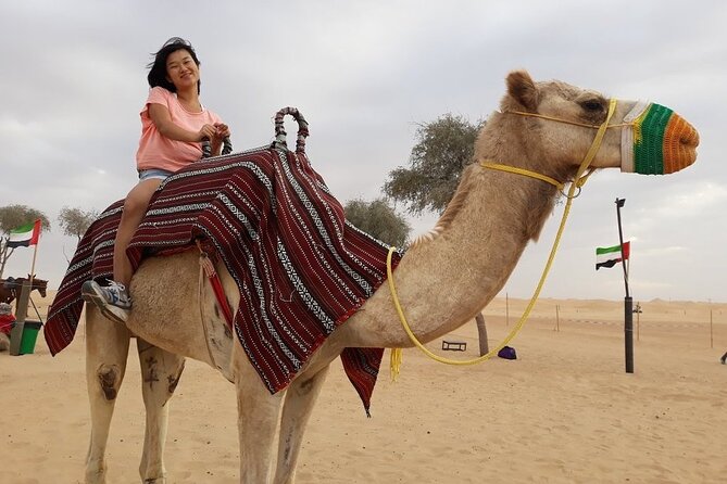 Morning Dubai desert safari - camel rides, quad bikes, dune buggies,dune bashing - The dune bashing ride