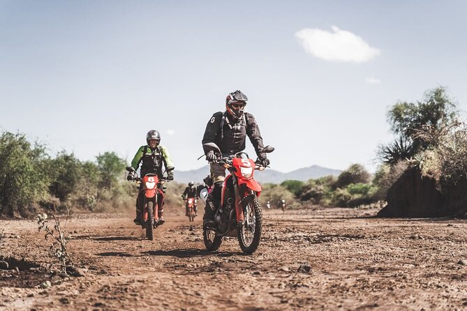 Motorcycle Safari - Who will enjoy this most