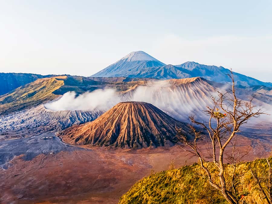 Mount Batur: Private Volkswagen Volcano Safari - Is $65 per person good value?