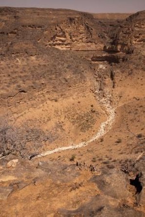 Mountain Safari Private Tour - Key things to know before booking