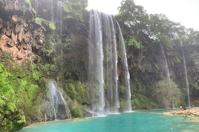 Mountain Safari Private Tour - Why this private Salalah route works so well
