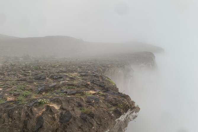 Mountain Safari Private Tour - Hasheer Agher and the rare baobab grove