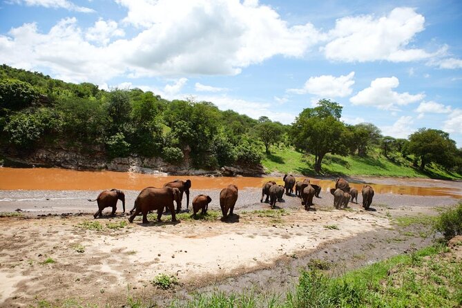 Multi-Day Camping Safari Experience in Arusha - Key points to know before booking