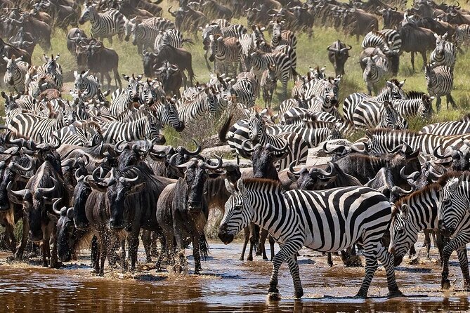 Multi-Day Camping Safari Experience in Arusha - The Mto wa Mbu biking question