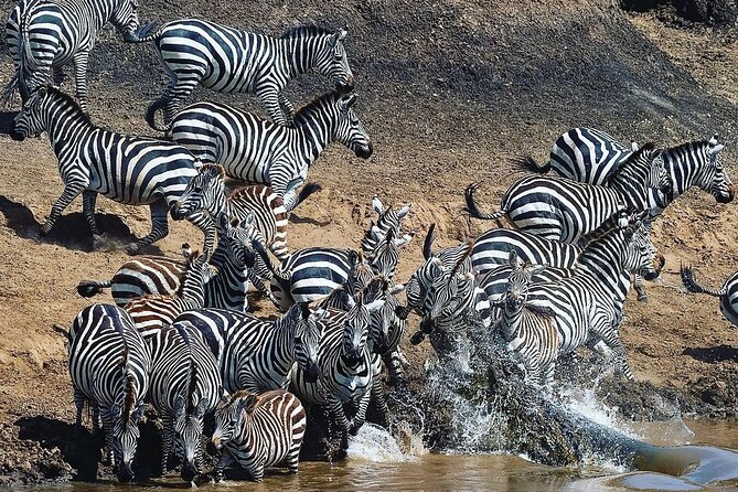 Multi-Day Camping Safari Experience in Arusha - What the $1,496 price includes