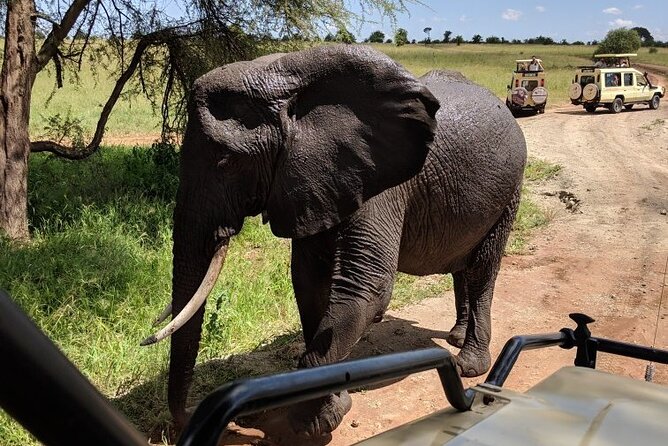 Multi-Day Tanzania Odssey Safari from Arusha - Night one at Mount Meru Hotel