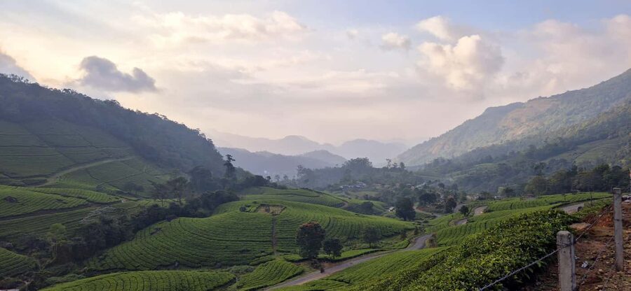 Munnar: Anakulam Jeep Safari with Waterfall and Elephant - Letchmi Shooting Point offers easy photo value