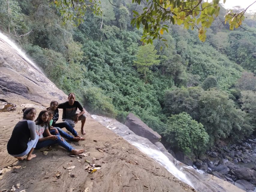 Munnar: Tea Garden and Elephant Safari Trip by 4x4 - Viripara Waterfalls brings the first swim