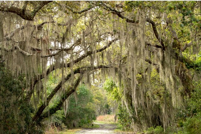 Myakka State Park E-bike Safari - Why Myakka works so well on an e-bike