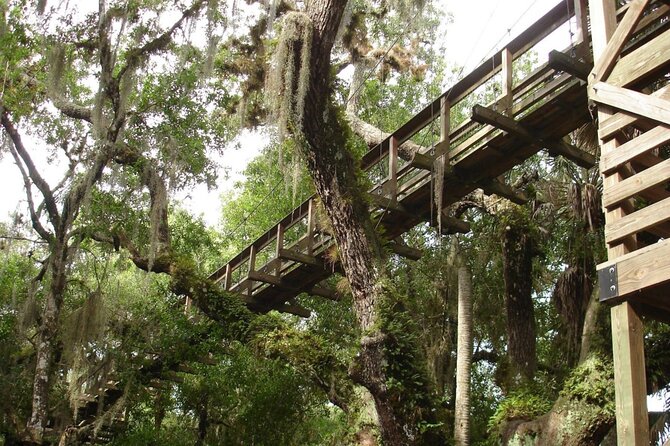 Myakka State Park E-bike Safari - Guides who make the ride more than transportation