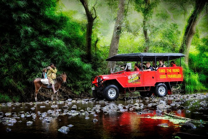 Naihehe Cave Safari in Sigatoka with BBQ Lunch - Why Naihehe Cave is worth the trip inland