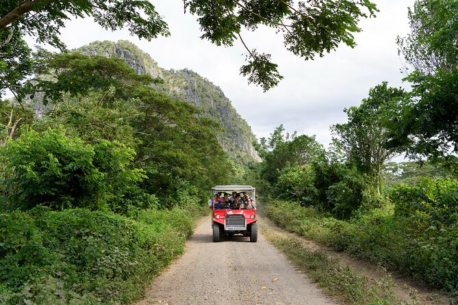 Naihehe Cave Safari in Sigatoka with BBQ Lunch - Who will enjoy this cave safari most?
