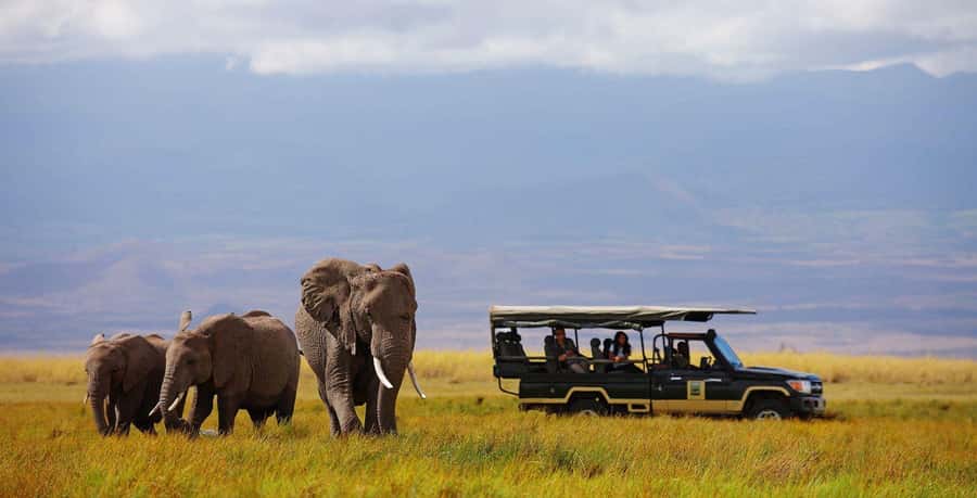 Nairobi: 4-Day Maasai Mara & Lake Nakuru Camping Safari - The real cost of this four-day safari