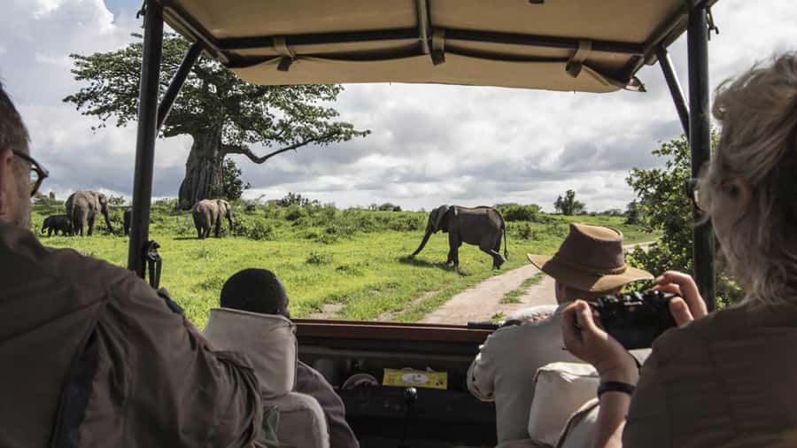 Nairobi: 4-Day Maasai Mara & Lake Nakuru Camping Safari - What the guides and vehicle mean for your safari