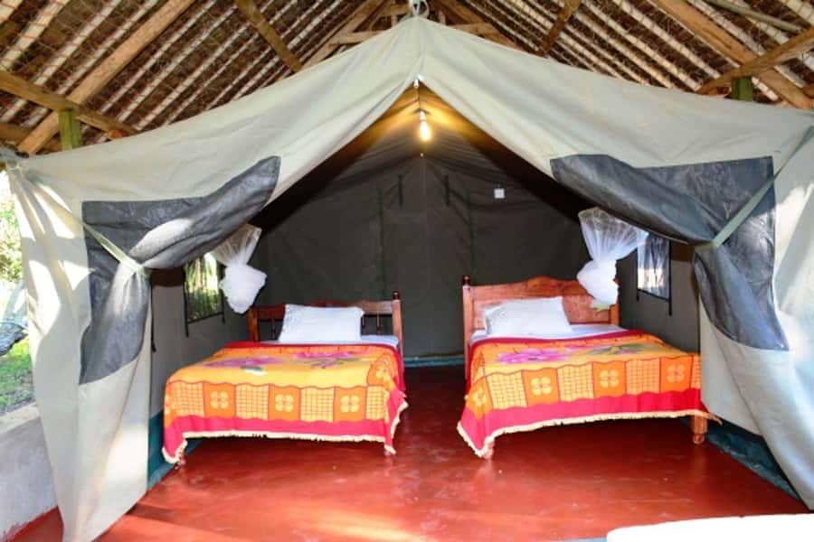 Nairobi: 4 Day Masai Mara and Lake Nakuru Camping Safari - Day 4: Rhinos, giraffes, and Nakuru’s birdlife