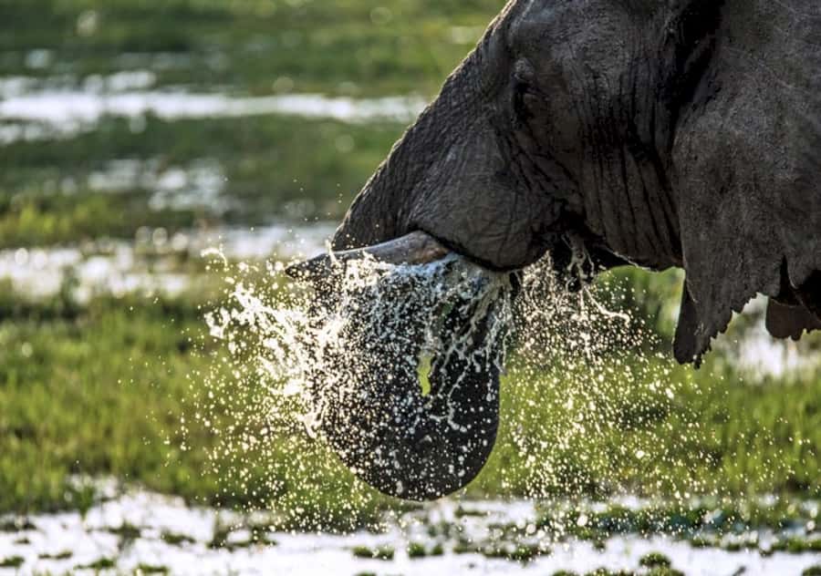 Nairobi: 4 Day Masai Mara and Lake Nakuru Camping Safari - Day 1: Nairobi, the Rift Valley, and a Mara sunset