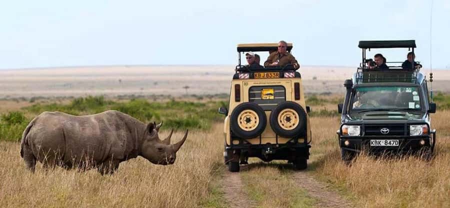 Nairobi: 4 Days Masai Mara & Lake Nakuru 4WD Camping Safari - Pickup, cancellation, and practical details