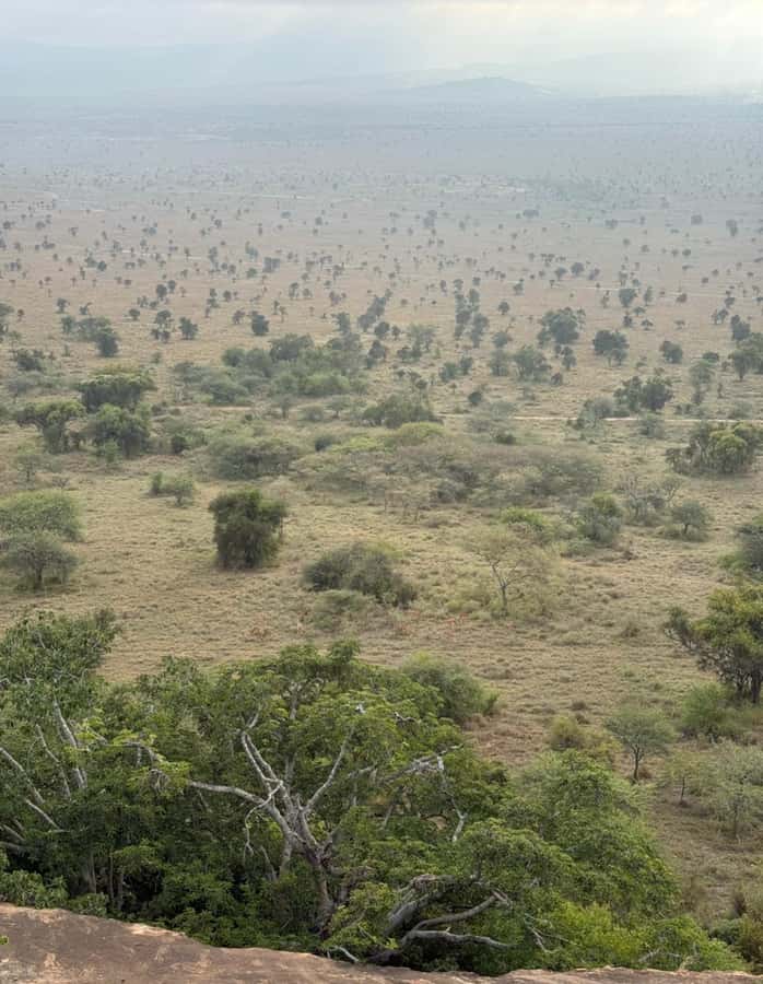 Nairobi: ATV/Quad Bike Wildlife Safari with Transfers & meal - Two hours through open wildlife country