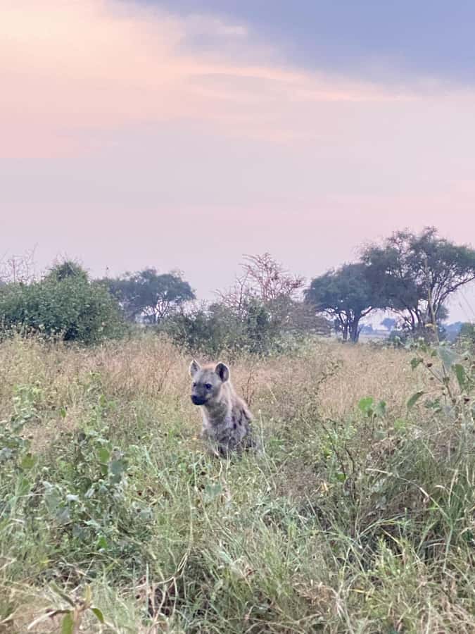 Nairobi: ATV/Quad Bike Wildlife Safari with Transfers & meal - Weather can change the whole mood