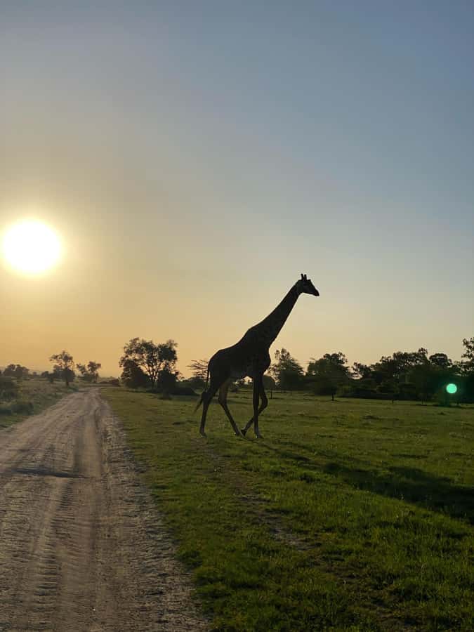 Nairobi: ATV/Quad Bike Wildlife Safari with Transfers & meal - Leaving Nairobi for Machakos County