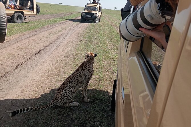 Nairobi Park Wildlife Safari - The game drive: lions, rhinos, and city-edge wildlife