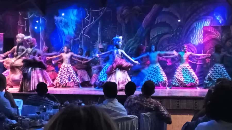 Nairobi: The Safari Cats Show Tickets & Buffet Dinner - Key points to know before booking