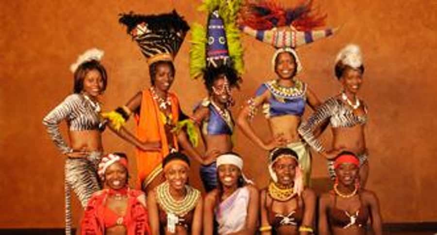 Nairobi: The Safari Cats Show Tickets & Buffet Dinner - A Kenyan dinner followed by live entertainment