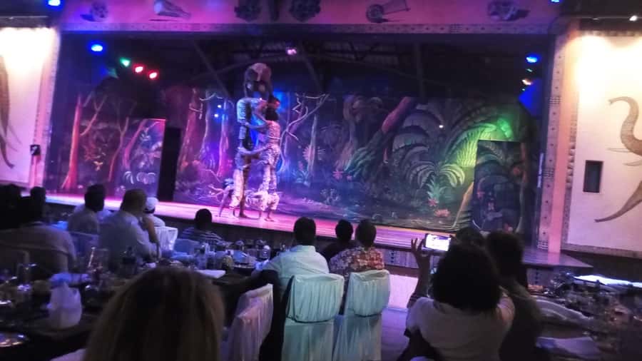 Nairobi: The Safari Cats Show Tickets & Buffet Dinner - What happens when you arrive