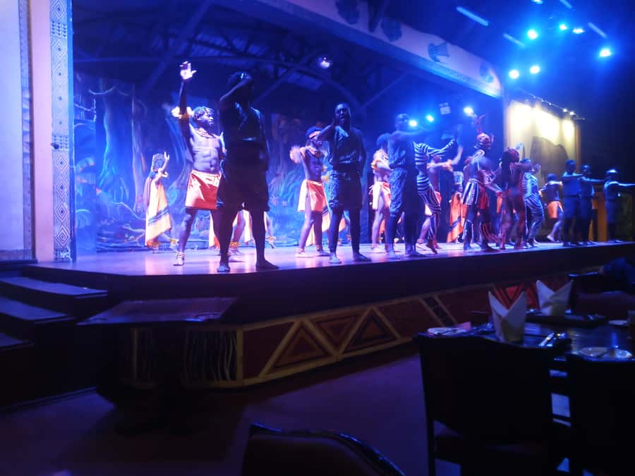 Nairobi: The Safari Cats Show Tickets & Buffet Dinner - Who should book this evening?