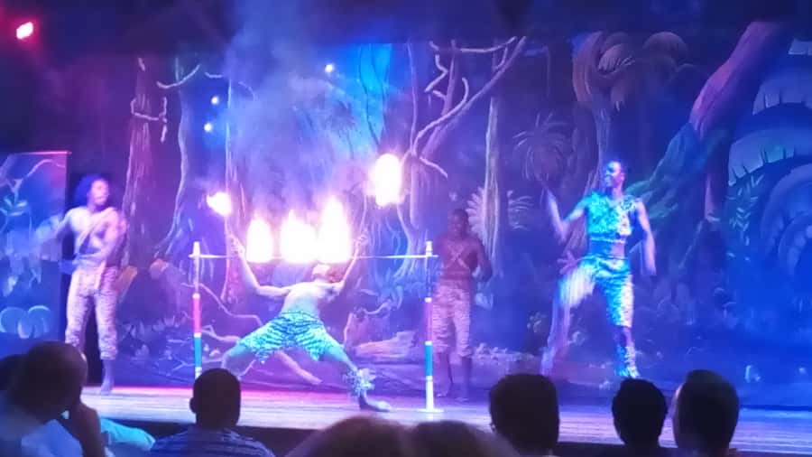 Nairobi: The Safari Cats Show Tickets & Buffet Dinner - The 6:30 pm pickup and Nairobi traffic