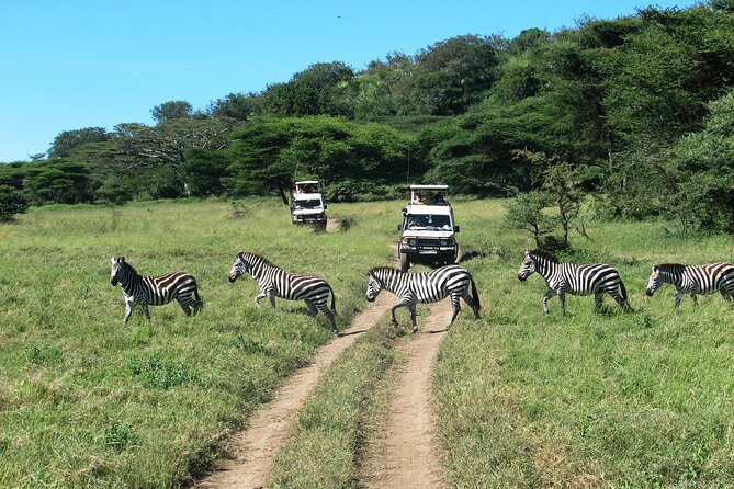 Ngorongoro Crater Day Trip – Shared Group Safari - Lake Magadi and its flamingos