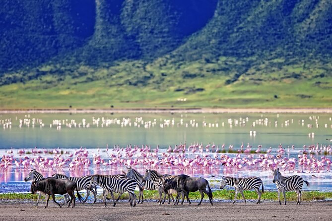 Ngorongoro Crater Day Trip – Shared Group Safari - Maasai culture and the wider conservation area