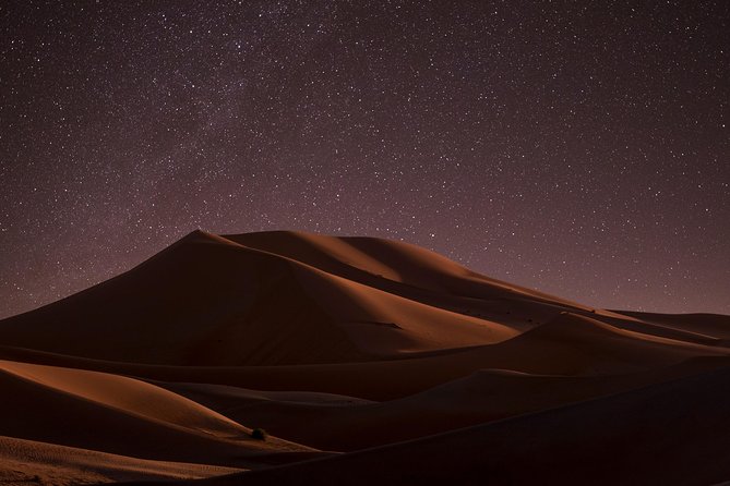 Night Desert Safari | Sand Boarding || Camel Ride || Inland Sea - Tea and camels at Sealine Beach