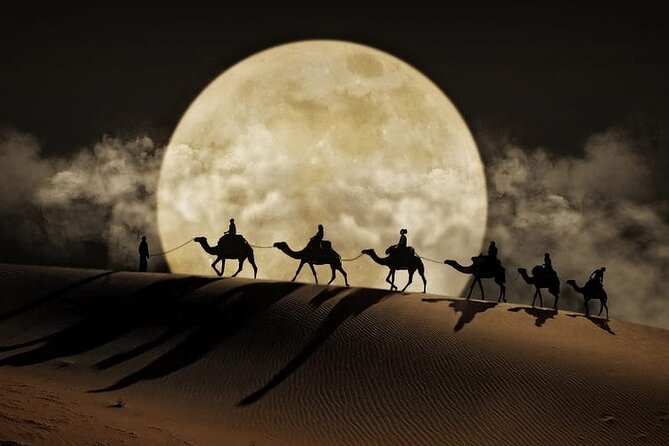 Night Desert Safari, Stargazing, Dune Driving & Inland Sea Visit - Leaving Doha for Qatar’s open dunes
