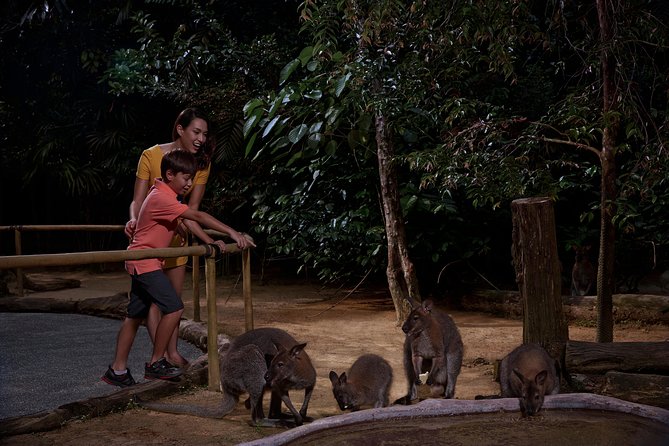 Night Safari Tour with Transfer - Who will enjoy this most