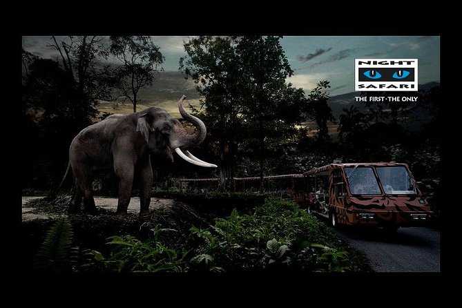 Night Safari Tour with Transfer - The 6 pm pickup and ride to Mandai