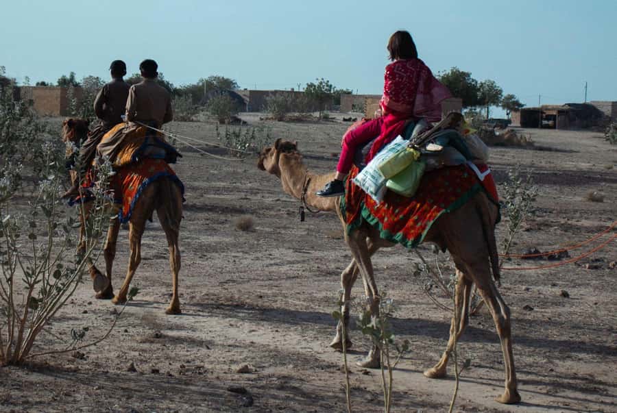 Nomadic Non-Touristic Overnight Camel & Desert Safari Tour - What sleeping under the stars really means