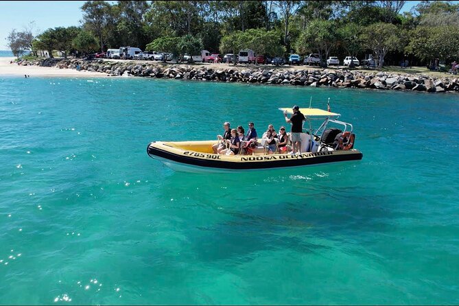Noosa Ocean adventure & Dolphin Safari. - Key points at a glance