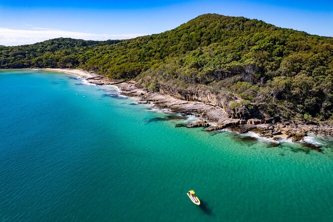 Noosa Ocean adventure & Dolphin Safari. - Why this Noosa boat ride is different