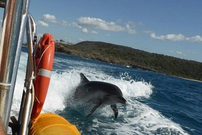 Noosa Ocean adventure & Dolphin Safari. - Choosing between the rear and front seats