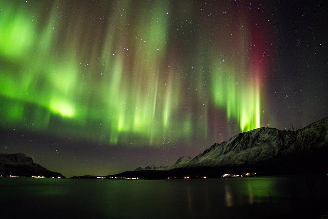 Northern Lights Safari from Tromso - Quick points before you book