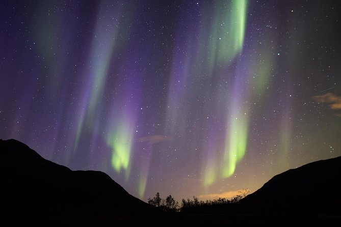 Northern Lights Safari from Tromso - Taking photos without missing the sky
